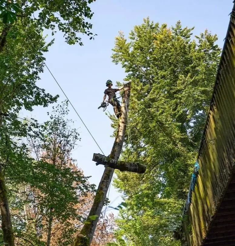 Limb work on a spar