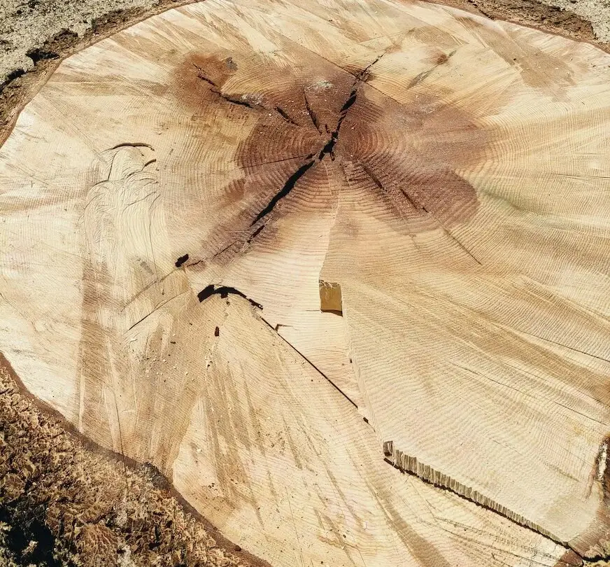 Stump round on the ground